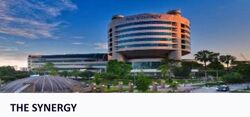 The Synergy (D22), Office #565207331